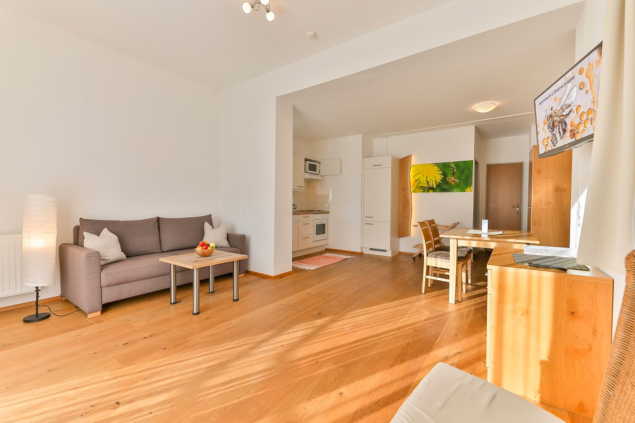 apartments-kronhofer_loewenzahn